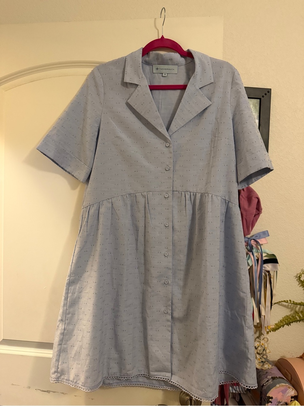 Tuckernuck Pale Blue Eyelet Button-Front Mini Dress